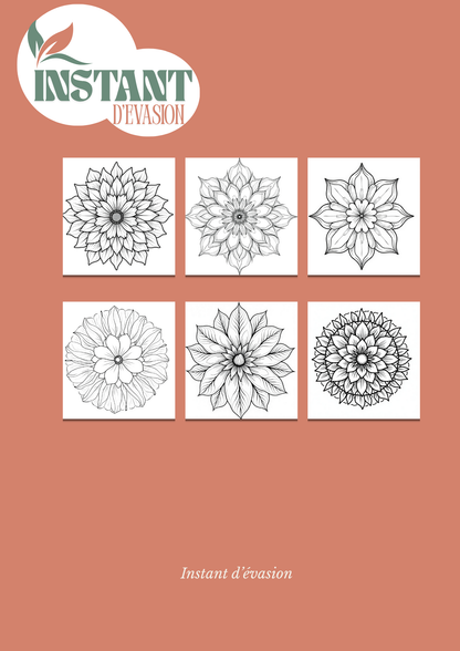 Mandalas Fleuris – 25 Dessins Apaisants à Colorier