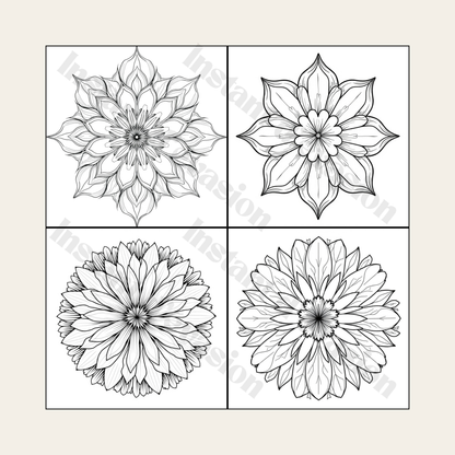 Pack 5 Livres de Coloriage Anti-Stress | Buvard Offert